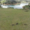 LOTE EN GUATAPE LA PIEDRA Cod. LT-167