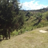 FINCA RIONEGRO Cod. FC-156