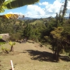 FINCA RIONEGRO Cod. FC-156