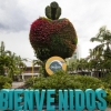 LOCAL CENTRO COMERCIAL OVIEDO MEDELLIN Cod. LCA-215