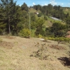 FINCA RIONEGRO Cod. FC-156